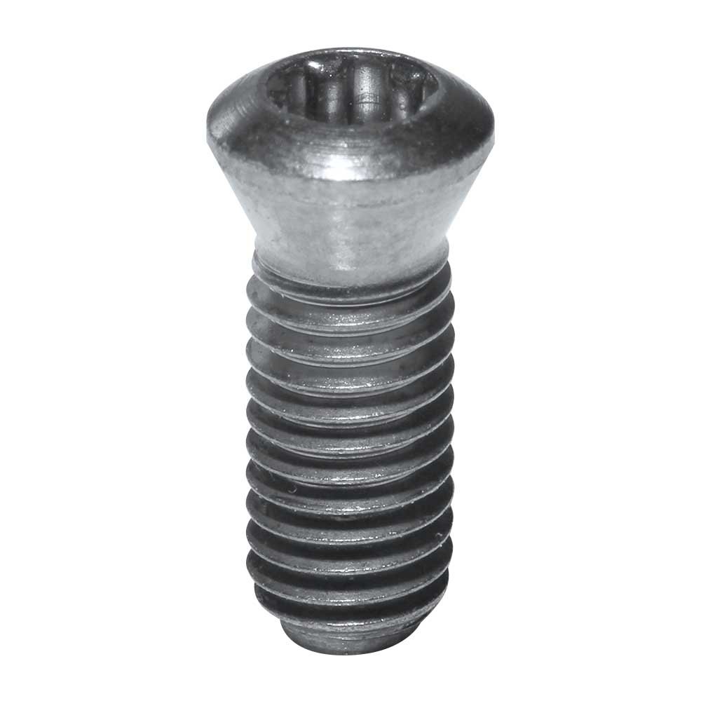tornillo torx zn 6x100 mm