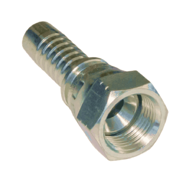 HEMBRA-JIC-RECTA-44