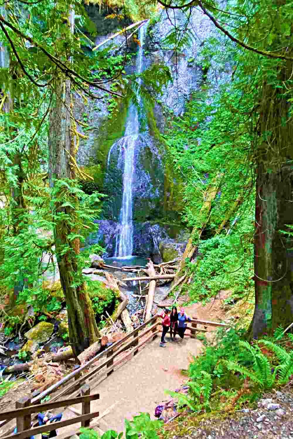 Marymere-Falls-OLympic-National-Park